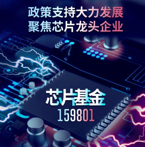 芯片涨了这么多 该怎么投