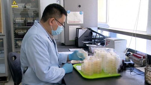 17年上海3人吃蛋糕,一死一伤一人却没事,报警调查发现不简单