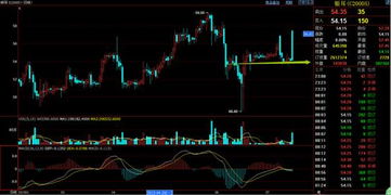 欢迎访问渤海商品交易所网站!