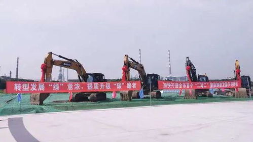 吸引企业纷纷飞回上海，金山这家园区有何奥秘——财务咨询助力企业腾飞