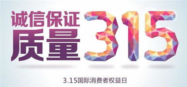 山东银驰汽车财务咨询 专业服务护航企业发展