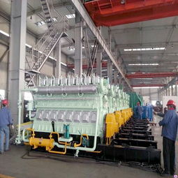 潍坊生物质发电机组 重能动力解决方案与财务咨询