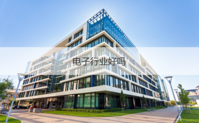 柳州微电子行业 企业待遇、工作体验与投资管理分析